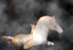 Pegasus Schmegasus by Ray Hernandez