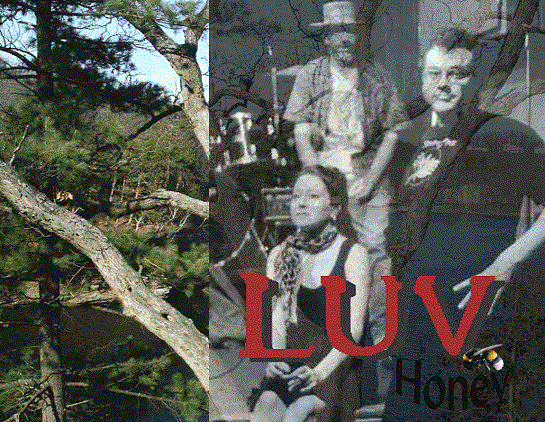 Luv Honey front cover